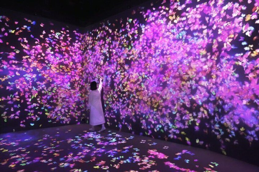 A person interacting with a wall of colorful light projections. 5