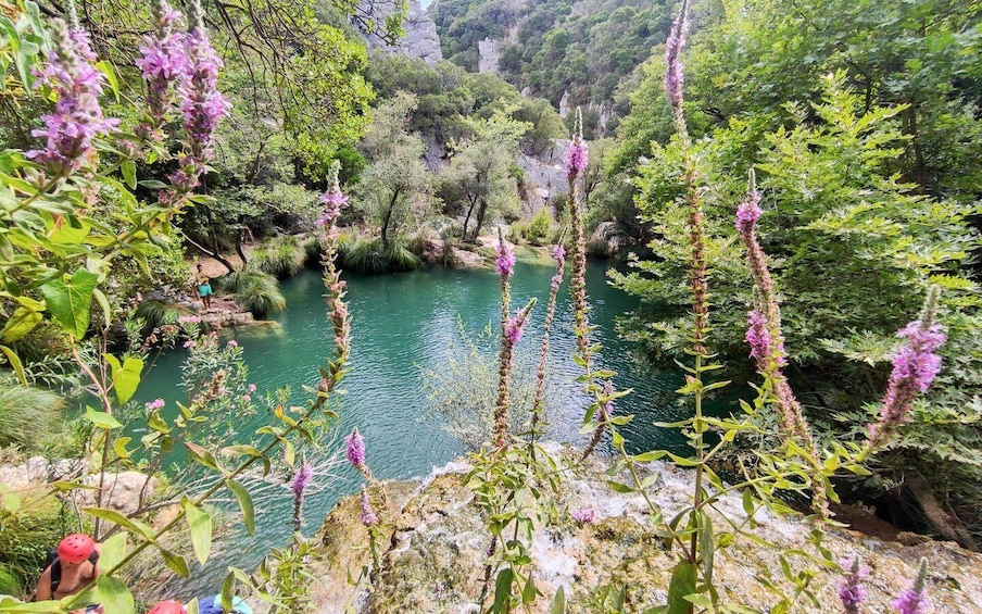 A serene river surrounded by lush greenery and purple flowers. 4