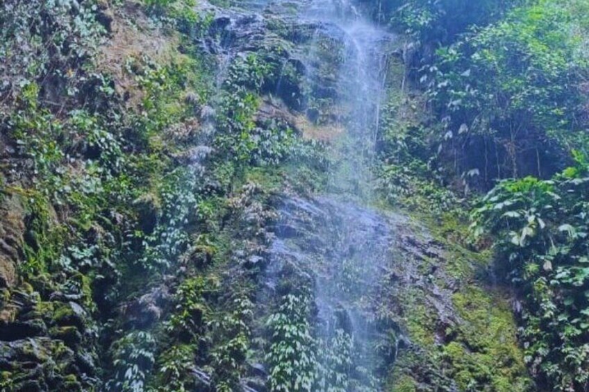 A waterfall cascading down a rocky cliff surrounded by lush greenery. 5
