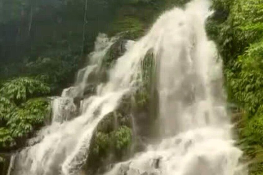 A waterfall cascading over rocks in a lush green forest. 2