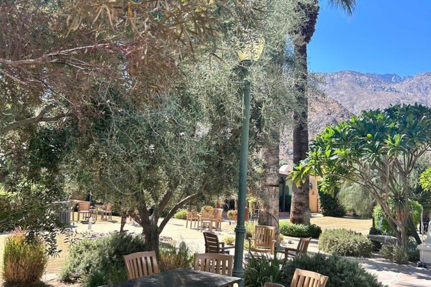 An outdoor seating area with wooden tables and chairs, surrounded by olive trees and other greenery, with a mountainous backdrop. 5