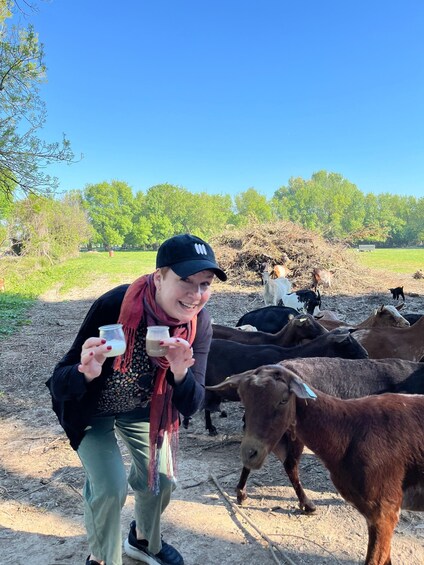 A person holding a jar of milk, standing in a field with a herd of goats. 4