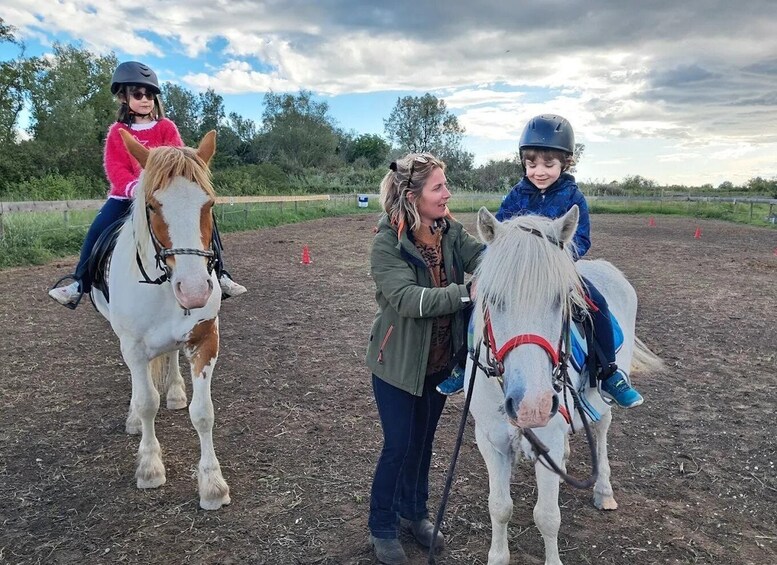 Picture 1 for Activity Arles: Horseback riding lessons 3