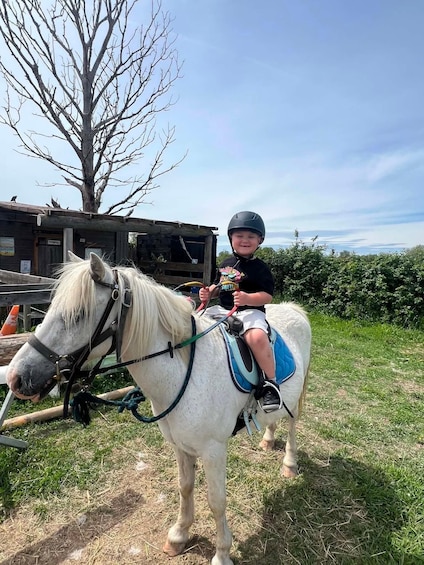 Arles: Horseback riding lessons 1