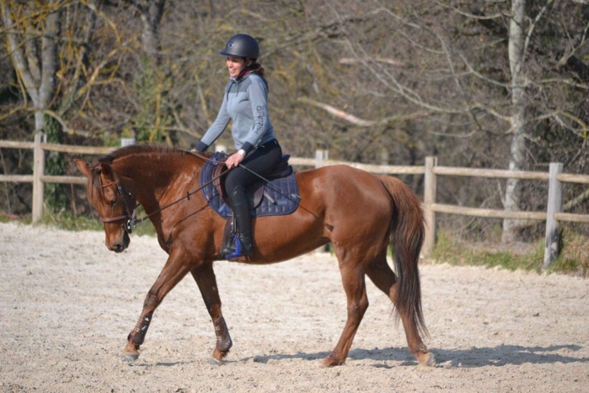 Picture 2 for Activity Arles: Horseback riding lessons 2