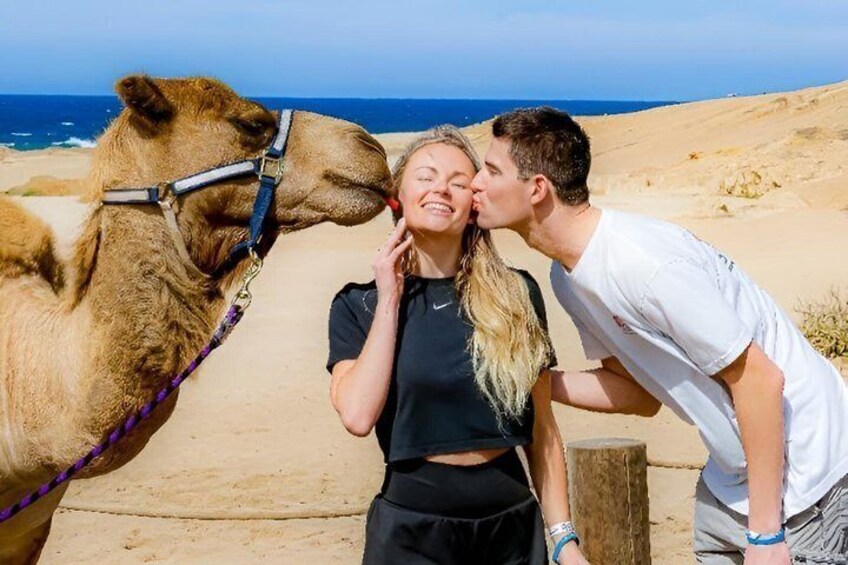 A camel, a person in a black top, and another person in a white shirt near a sandy area with a body of water in the background. 1