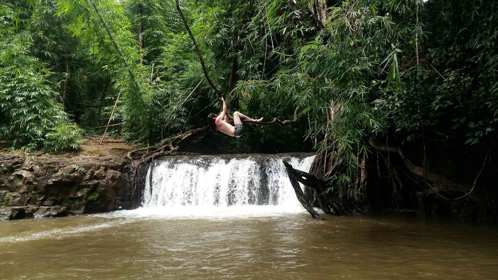 A person swinging on a rope over a waterfall in a forested area. 3