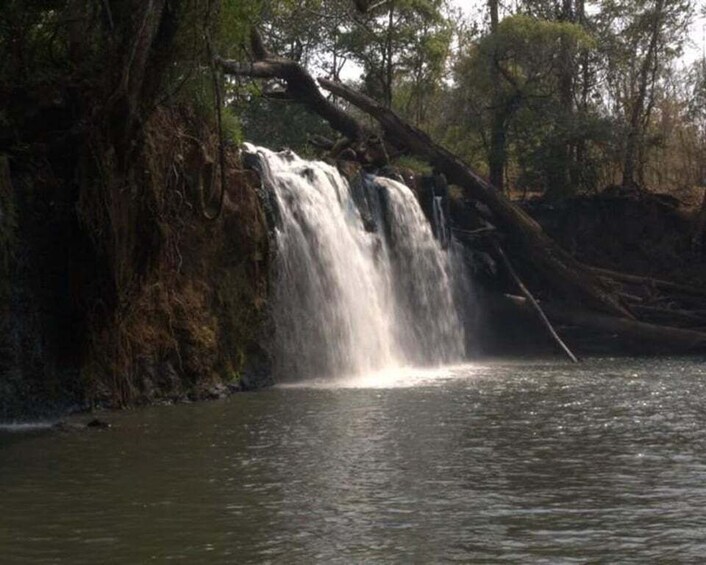 A waterfall cascading into a river surrounded by dense forest. 2