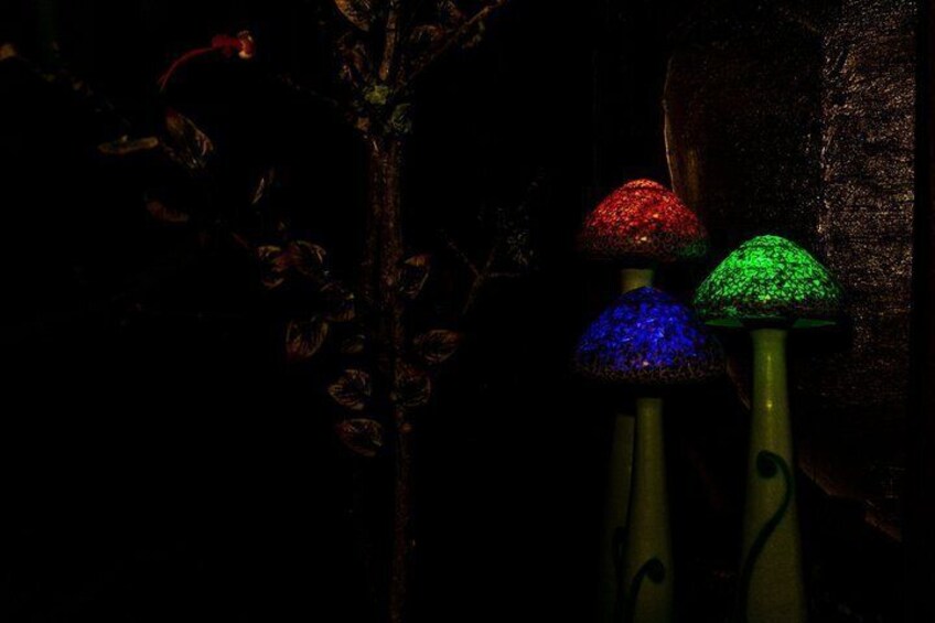 Three illuminated mushroom-shaped objects with red, blue, and green colors. 4