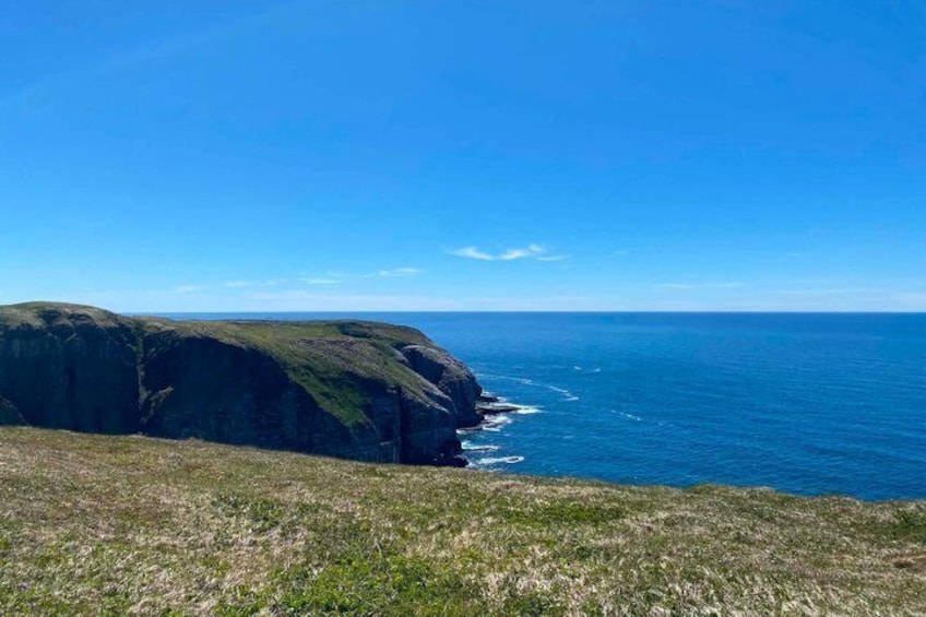 A coastal cliff with grassy terrain and the ocean. 3