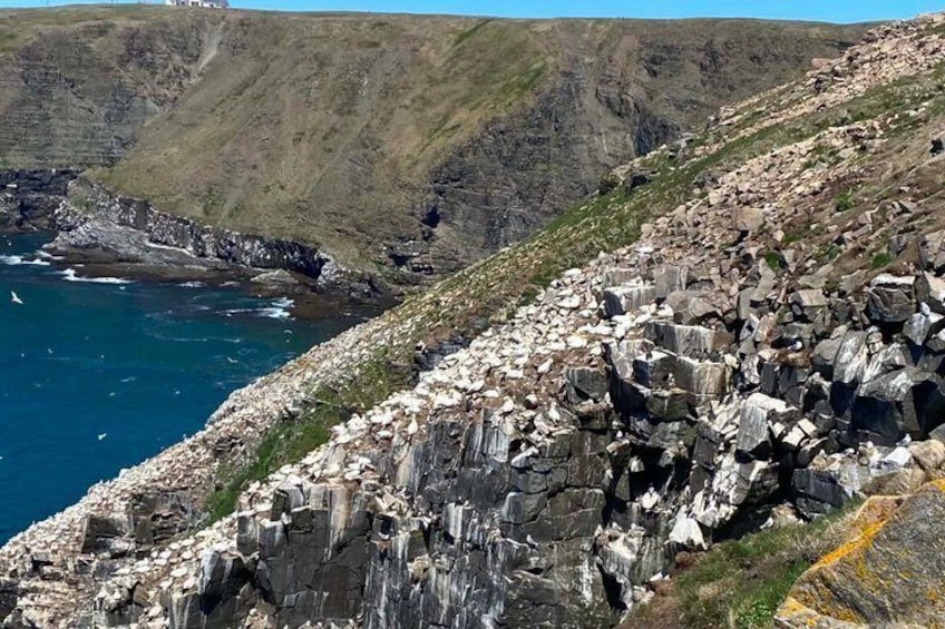 A rocky coastline with cliffs and a body of water. 5