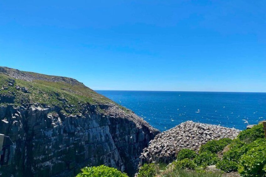 A coastal cliff with a steep drop, a rocky shoreline, and the ocean in the background. 4