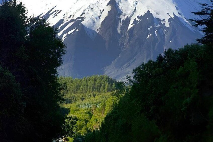A snow-capped mountain, dense forest, and a river. 5