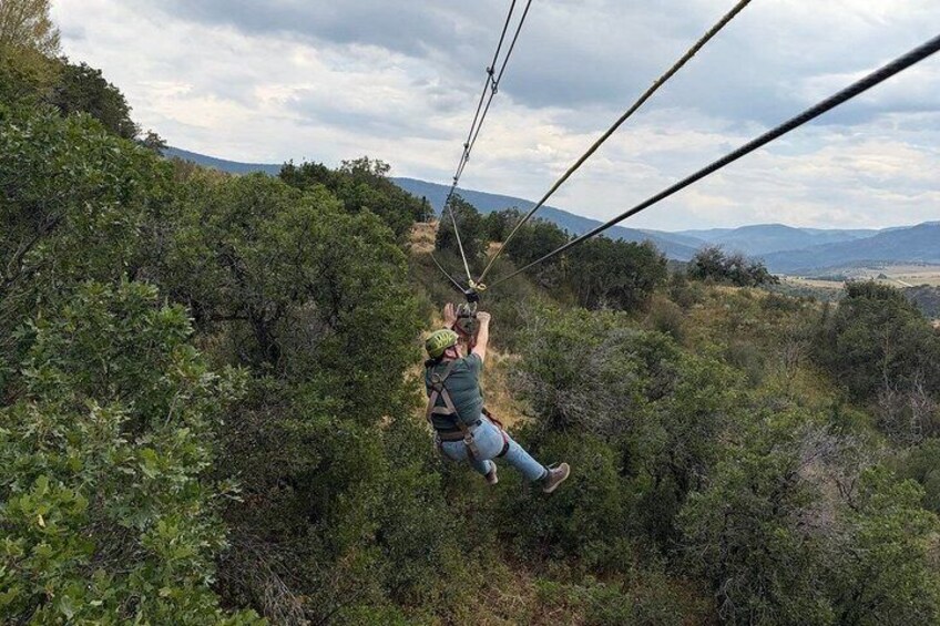 A person zip-lining through a forested area with a clear view of the landscape. 1