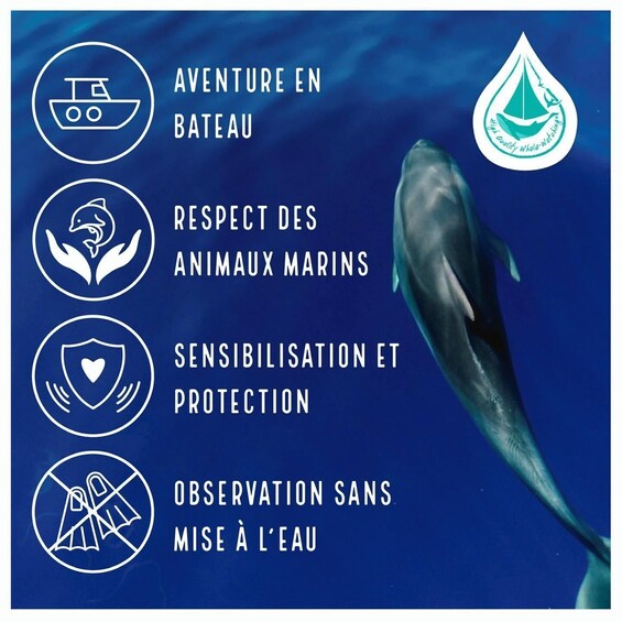 A dolphin swimming in the ocean with various conservation symbols and text. 4