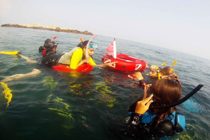 A group of people snorkeling in the ocean, wearing life jackets and snorkels. 5