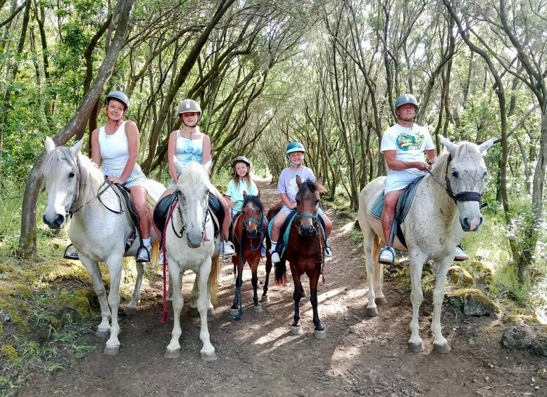 A group of people riding horses on a dirt trail surrounded by trees. 1
