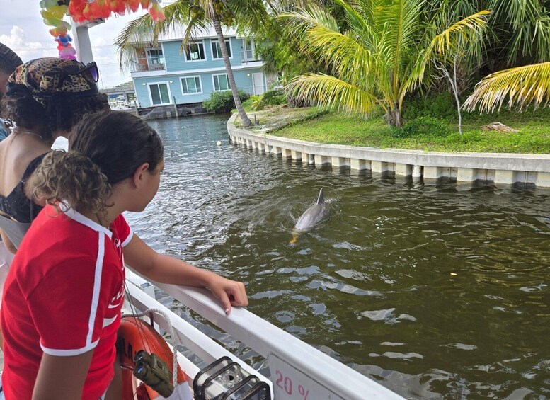 A dolphin swimming in a body of water, with a boat and people observing. 1