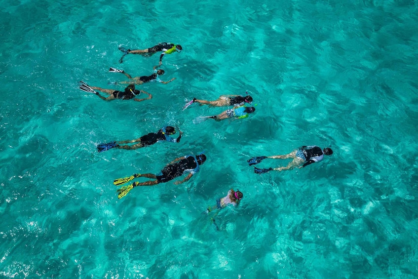 A group of people snorkeling in clear turquoise water. 1