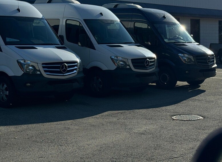 A row of parked Mercedes vans in a parking lot. 5