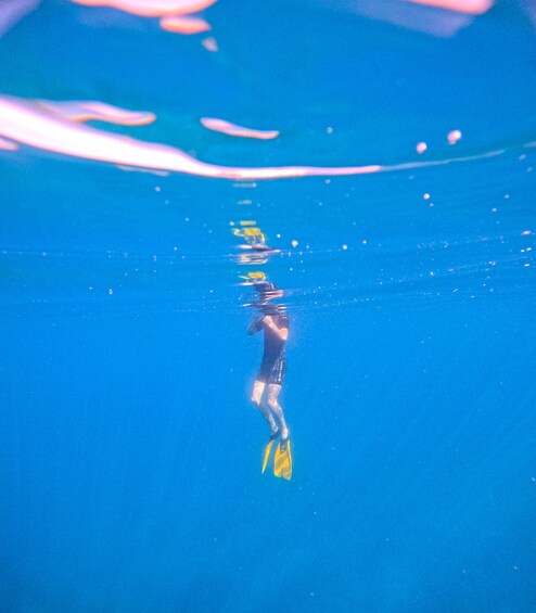 A person underwater with fins, surrounded by clear blue water. 1