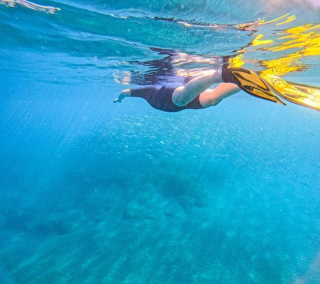 A person swimming underwater with fins. 4