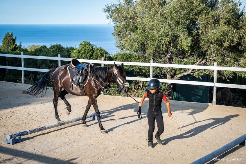 A person leading a horse in an outdoor arena with a white fence, trees, and a body of water in the background. 2