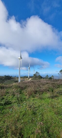 Des éoliennes dans un champ verdoyant, sous un ciel bleu parsemé de nuages. 4