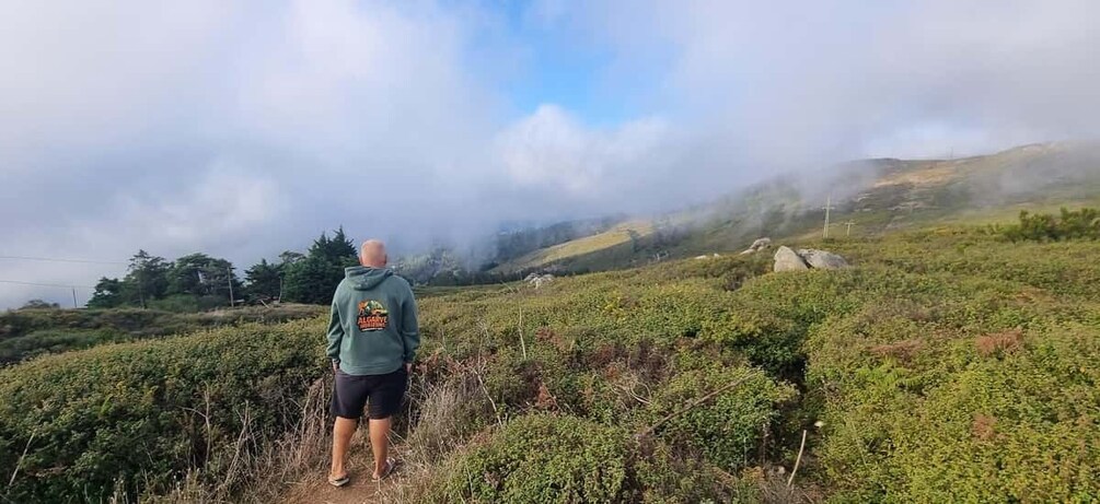 Une personne se tient sur un sentier, entourée de verdure, et surplombe un paysage vallonné où flottent des nuages. 5