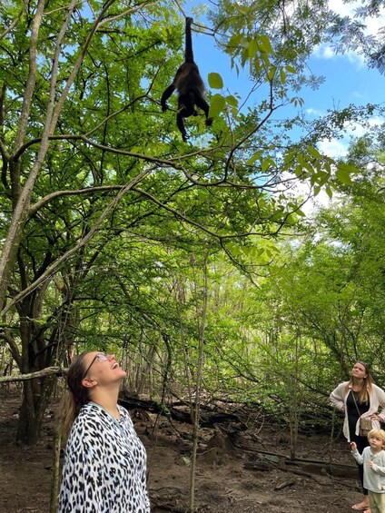 A person observing a monkey in a forested area. 3