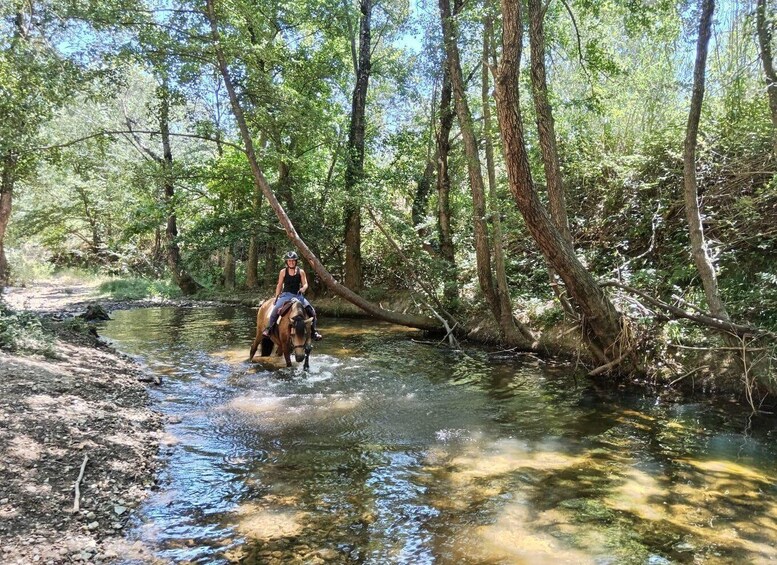 A person riding a horse through a shallow stream in a forested area. 3
