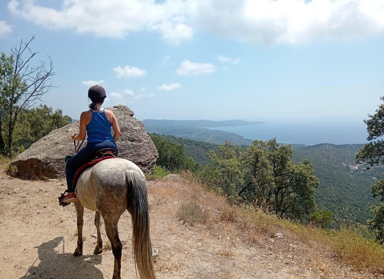 A person riding a horse on a dirt path with a scenic view of a mountainous landscape and a body of water in the distance. 1