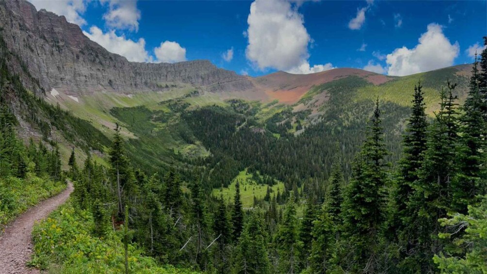 A mountain landscape with a dirt path, dense forest, and a clear sky. 2