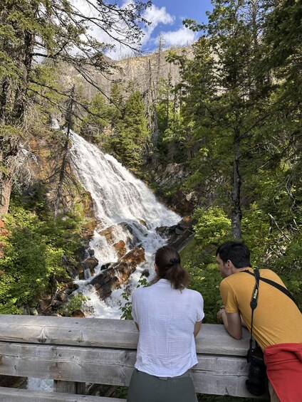 A waterfall cascading down a rocky cliff surrounded by dense forest. 1