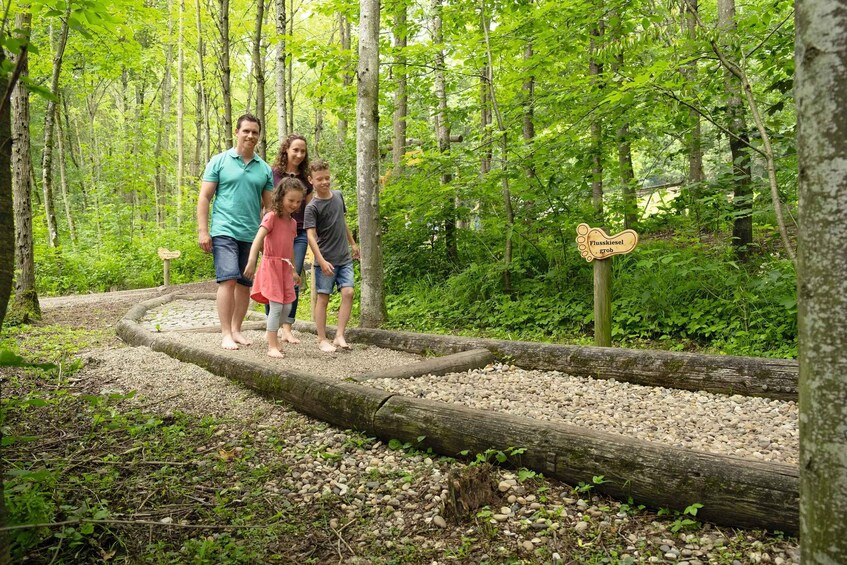 A family walking on a wooden bridge in a forest. 2
