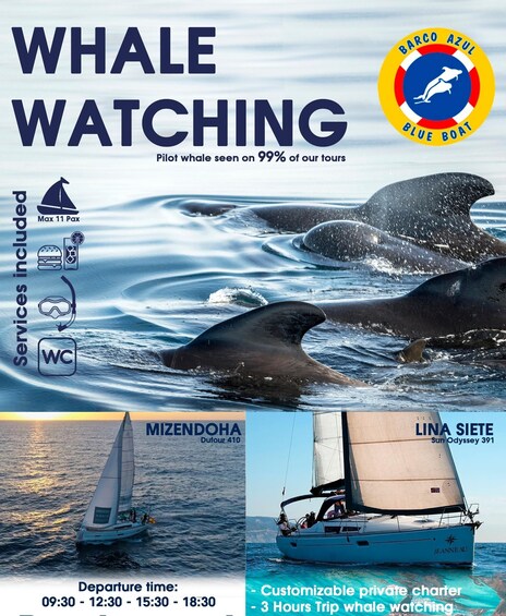 A whale watching tour advertisement with a whale in the ocean, departure times, and boat names. 3