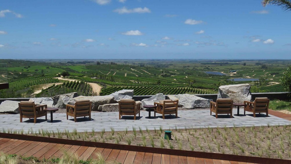 A terrace with wooden chairs and tables overlooking a vineyard. 3