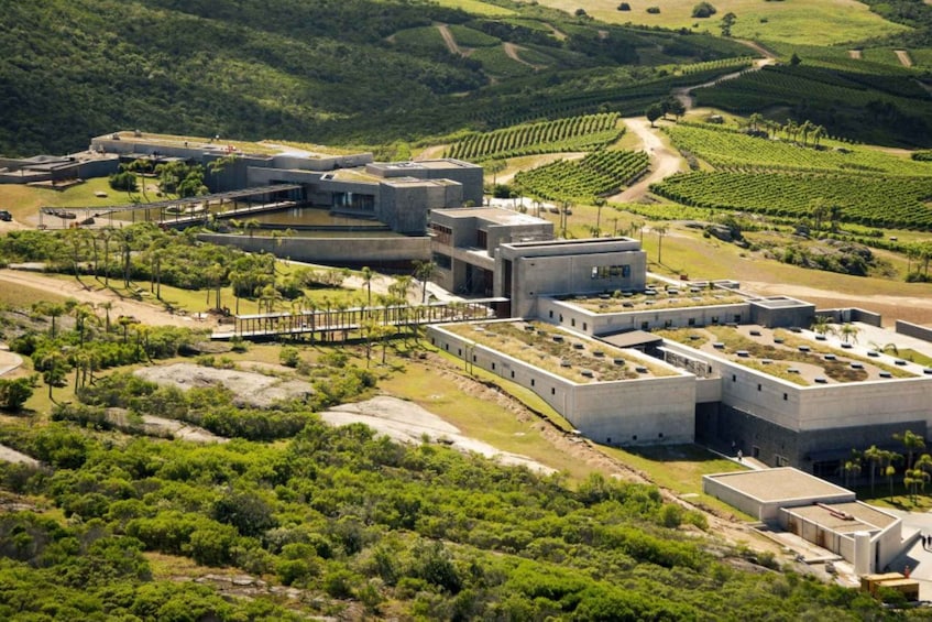 A modern architectural complex with a rooftop garden, surrounded by lush vineyards. 5