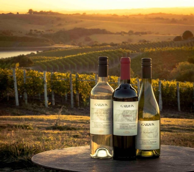 Three wine bottles on a table with a vineyard in the background. 1