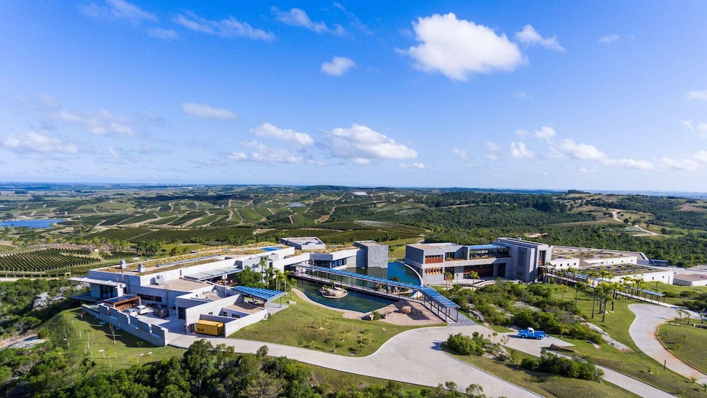 A modern architectural complex with a swimming pool, surrounded by lush greenery and vineyards. 2
