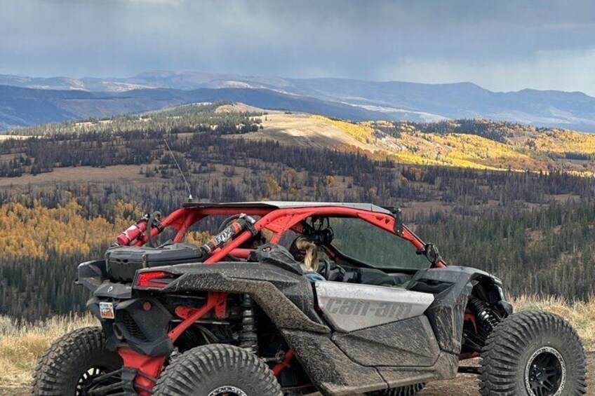 A red and black off-road vehicle with a dog in the driver's seat, parked on a grassy hill with a mountainous landscape in the background. 1