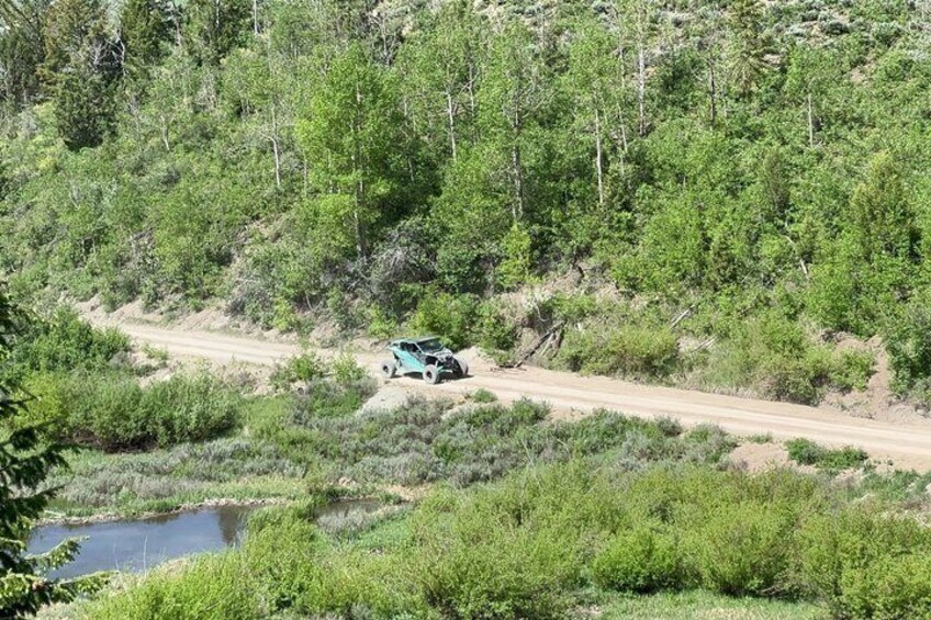 A vehicle on a dirt road surrounded by dense green forest. 5