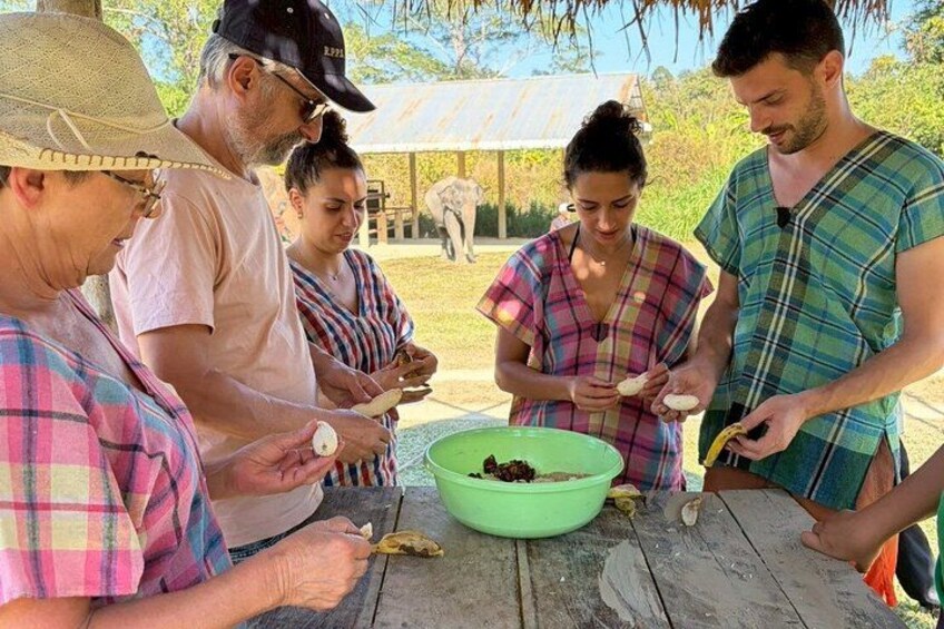 Chiang Mai Half-Day Tour Elephant Sanctuary. Herbal Ball Making 2