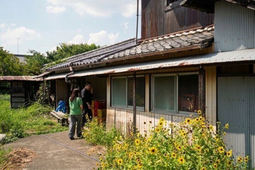 A house with a corrugated metal roof, a concrete pathway, and a garden with yellow flowers. 4