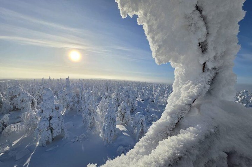 A snowy landscape with a sunlit sky and a snow-covered tree branch. 1