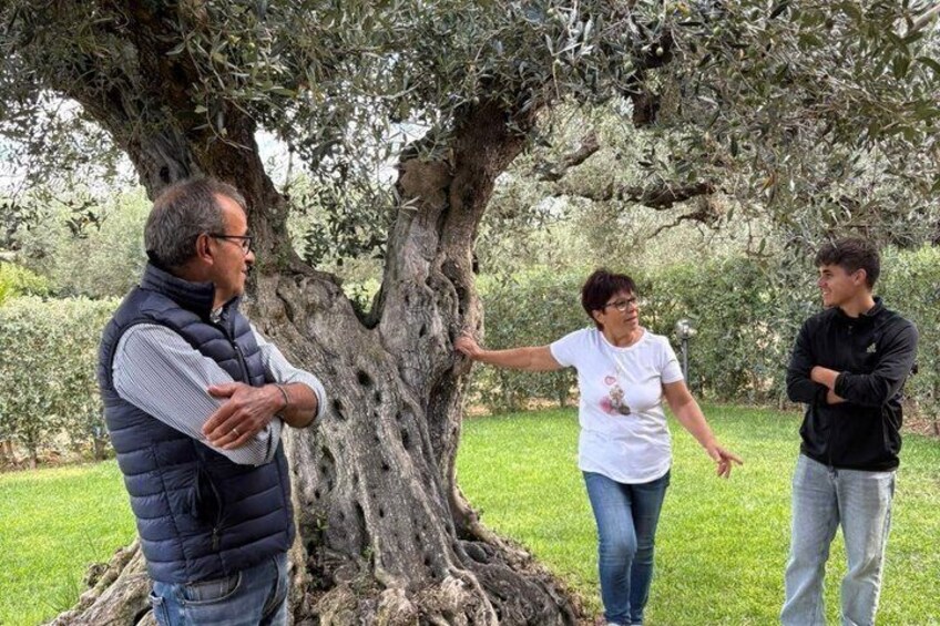 A group of people standing around a large tree in a grassy area. 3