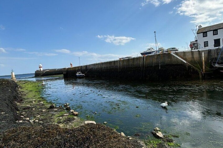 A coastal scene with a lighthouse, a pier, and a white swan in the water. 2