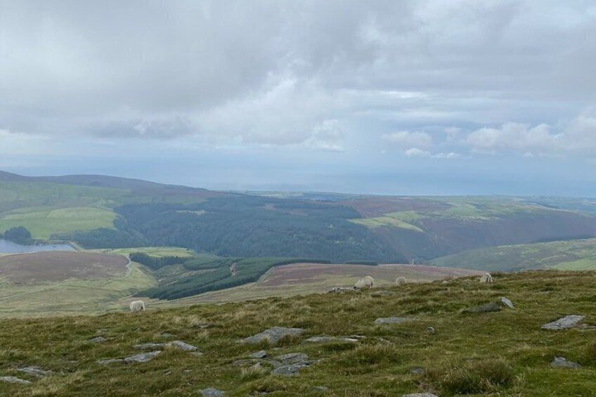 A hilly landscape with sheep grazing, a lake, and a cloudy sky. 5