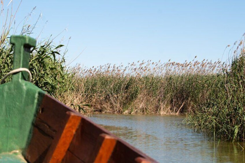 A narrow waterway flanked by tall reeds under a clear sky. 2