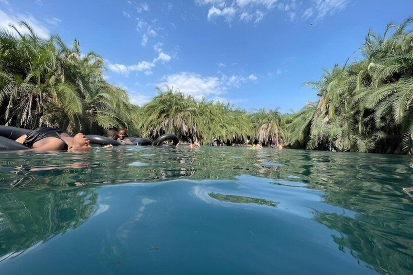 A clear tropical water body surrounded by dense palm trees. 1